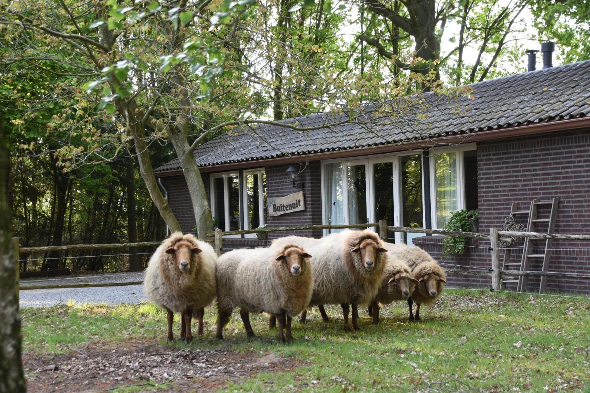 Buitenuit Boxtel Exterior foto